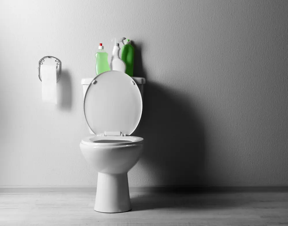 Newly installed toilet in modern home with cleaning solutions on top of it